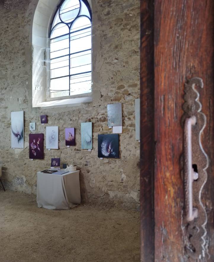 Agnès Roux, artiste-peintre : un herbier de lumière et de sérénité