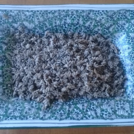 Coupele en céramique traditionnelle pour graines de lavande