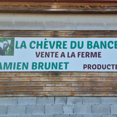 La Chèvre du Bancel : Une histoire de chèvres, de fromages et de terroir drômois