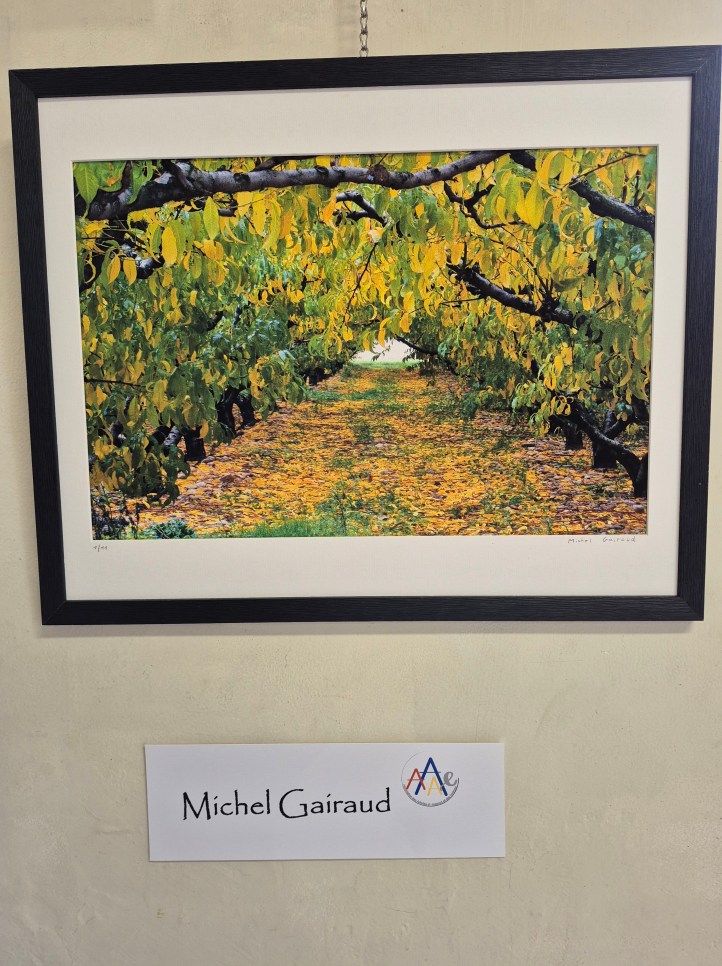 🌿 Michel Gaïraud : quand le végétal se fait lumière