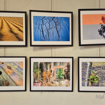 🌿 Michel Gaïraud : quand le végétal se fait lumière