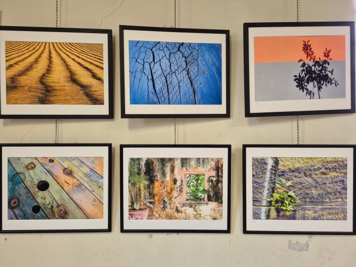 🌿 Michel Gaïraud : quand le végétal se fait lumière