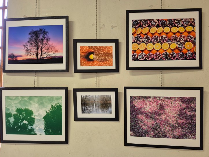 🌿 Michel Gaïraud : quand le végétal se fait lumière