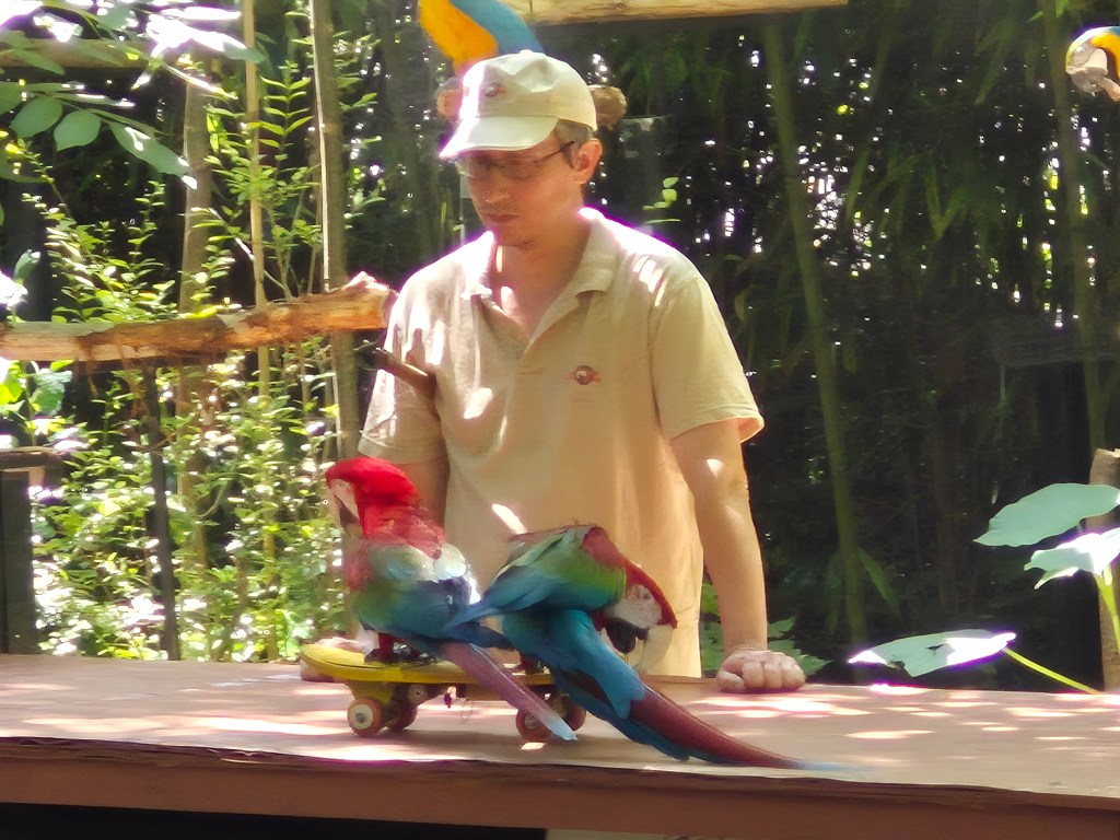 Découvrez le Parc aux Perroquets de Bren (Drôme), un site unique en Drôme des Collines, célèbre pour ses aras sublimes et ses animations pédagogiques insolites. Explorez son rôle de refuge, ses défis actuels et comment soutenir ce trésor animalier. Une visite incontournable pour toute la famille.