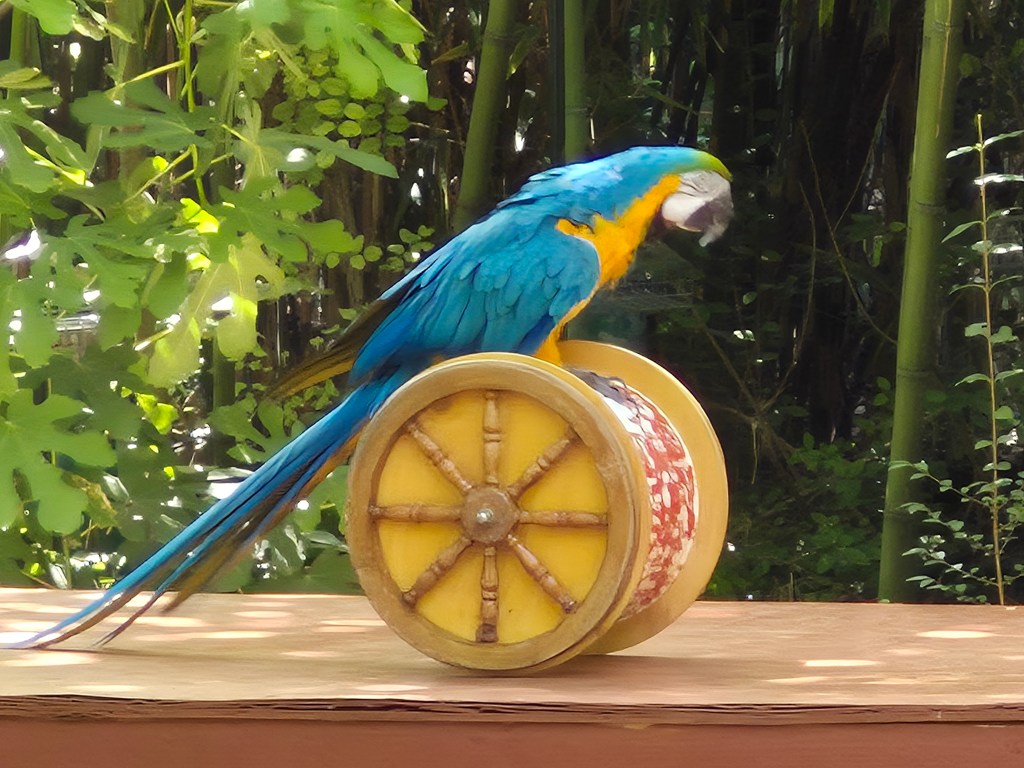 Découvrez le Parc aux Perroquets de Bren (Drôme), un site unique en Drôme des Collines, célèbre pour ses aras sublimes et ses animations pédagogiques insolites. Explorez son rôle de refuge, ses défis actuels et comment soutenir ce trésor animalier. Une visite incontournable pour toute la famille.
