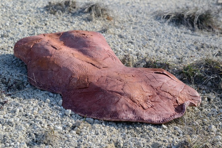 Découvrez les œuvres de Sylvie Laboux et d'autres artistes émergents de la région : 🌐 www.artnova.gallery