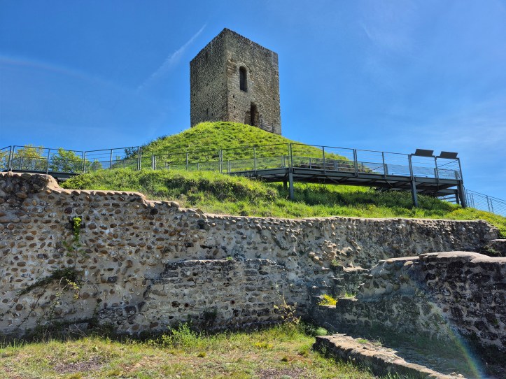  La Tour d'Albon (XIIIᵉ siècle), seul élément encore debout du château des comtes d'Albon — cœur originel du futur Dauphiné de Viennois 